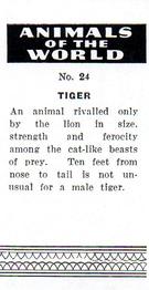 1954 Anonymous Animals of the World #24 Tiger Back