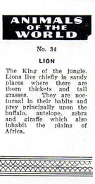 1954 Anonymous Animals of the World #34 Lion Back