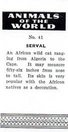 1954 Anonymous Animals of the World #41 Serval Back