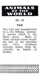 1954 Anonymous Animals of the World #49 Yak Back