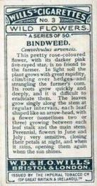 1923 Wills's Wild Flowers #3 Bindweed Back
