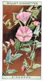 1923 Wills's Wild Flowers #3 Bindweed Front
