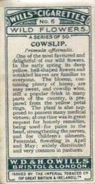 1923 Wills's Wild Flowers #6 Cowslip Back