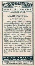 1923 Wills's Wild Flowers #9 Dead Nettle Back