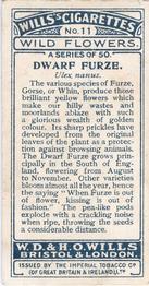 1923 Wills's Wild Flowers #11 Dward Furze Back