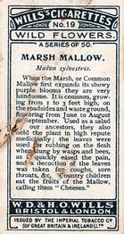 1923 Wills's Wild Flowers #19 Marsh Mallow Back