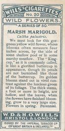 1923 Wills's Wild Flowers #20 Marsh Marigold Back