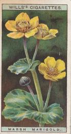 1923 Wills's Wild Flowers #20 Marsh Marigold Front
