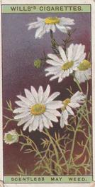 1923 Wills's Wild Flowers #21 Scentless May Weed Front