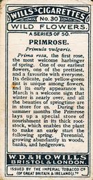 1923 Wills's Wild Flowers #30 Primrose Back