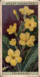 1923 Wills's Wild Flowers #30 Primrose Front