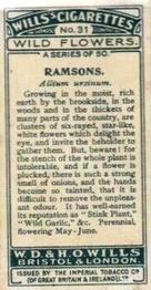 1923 Wills's Wild Flowers #31 Ramsons Back