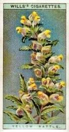 1923 Wills's Wild Flowers #32 Yellow Rattle Front