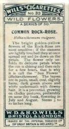 1923 Wills's Wild Flowers #33 Common Rock-Rose Back