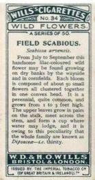 1923 Wills's Wild Flowers #34 Field Scabious Back