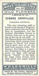 1923 Wills's Wild Flowers #36 Summer Snowflake Back