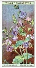 1923 Wills's Wild Flowers #37 Germander Speedwell Front