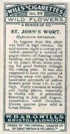 1923 Wills's Wild Flowers #38 St. John's Wart Back