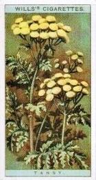 1923 Wills's Wild Flowers #41 Tansy Front