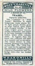 1923 Wills's Wild Flowers #42 Teasel Back