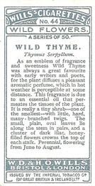 1923 Wills's Wild Flowers #44 Wild Thyme Back