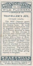 1923 Wills's Wild Flowers #45 Traveller's Joy Back