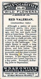 1923 Wills's Wild Flowers #46 Red Valerian Back