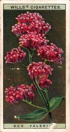 1923 Wills's Wild Flowers #46 Red Valerian Front
