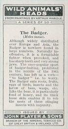 1931 Player's Wild Animals' Heads #3 Badger Back