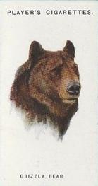 1931 Player's Wild Animals' Heads #4 Grizzly Bear Front