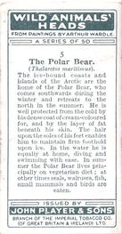 1931 Player's Wild Animals' Heads #5 Polar Bear Back