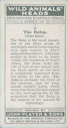 1931 Player's Wild Animals' Heads #6 Beisa Back