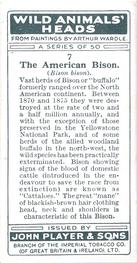 1931 Player's Wild Animals' Heads #7 American Bison Back
