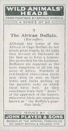 1931 Player's Wild Animals' Heads #9 African Buffalo Back