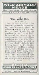 1931 Player's Wild Animals' Heads #12 Wild Cat Back