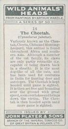 1931 Player's Wild Animals' Heads #14 Cheetah Back