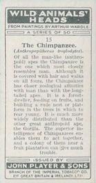 1931 Player's Wild Animals' Heads #15 Chimpanzee Back