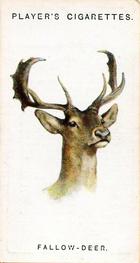 1931 Player's Wild Animals' Heads #16 Fallow Deer Front