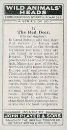 1931 Player's Wild Animals' Heads #17 Red Deer Back