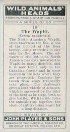 1931 Player's Wild Animals' Heads #18 Wapiti Back
