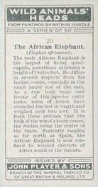 1931 Player's Wild Animals' Heads #20 African Elephant Back