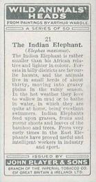 1931 Player's Wild Animals' Heads #21 Indian Elephant Back