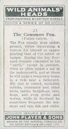 1931 Player's Wild Animals' Heads #23 Common Fox Back