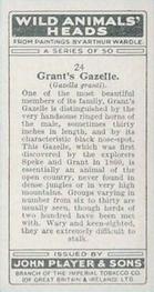 1931 Player's Wild Animals' Heads #24 Grant's Gazelle Back