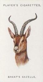 1931 Player's Wild Animals' Heads #24 Grant's Gazelle Front