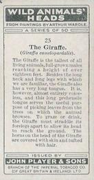 1931 Player's Wild Animals' Heads #25 Giraffe Back