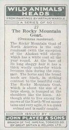 1931 Player's Wild Animals' Heads #27 Rocky Mountain Goat Back