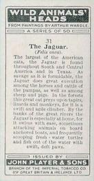 1931 Player's Wild Animals' Heads #31 Jaguar Back