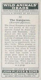 1931 Player's Wild Animals' Heads #32 Kangaroo Back