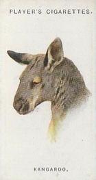 1931 Player's Wild Animals' Heads #32 Kangaroo Front